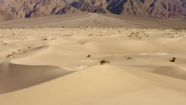 Letecké Záběry Pískových Dun Death Valley Kalifornie Usa — Stock video