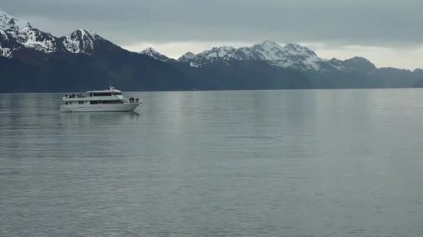 Camping Seward Regardant Dans Océan Regardant Les Baleines Dans Océan — Video