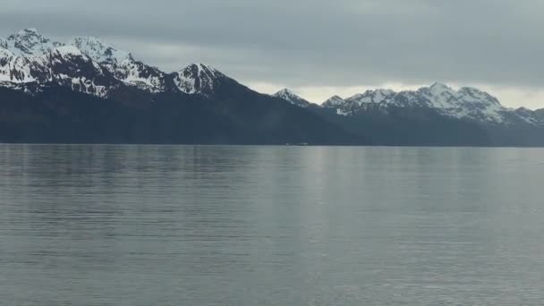 Camping Seward Donnant Sur Océan Regardant Les Baleines Dans Océan — Video