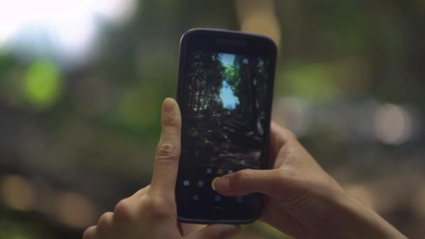 Close Van Een Smartphone Die Wordt Gebruikt Een Foto Natuur — Stockvideo