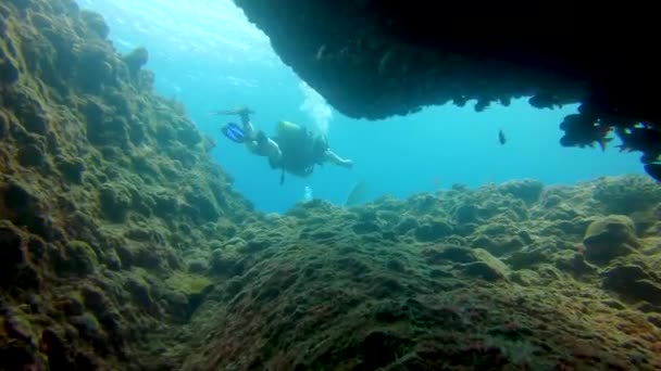 Nízký Úhel Potápěči Plavající Jeskyně Školou Ryb 60Fps — Stock video
