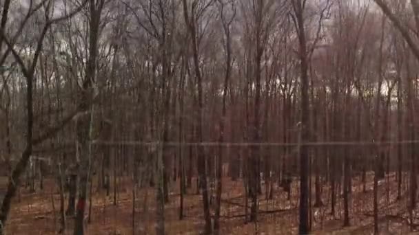 Drone Descola Eleva Acima Das Árvores Floresta Nas Montanhas Catskill — Vídeo de Stock