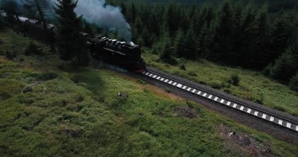 Zrobiliśmy Zdjęcie Historycznego Pociągu Parowego Krajobrazie Harz Nationalpark Gdzie Pociągi — Wideo stockowe