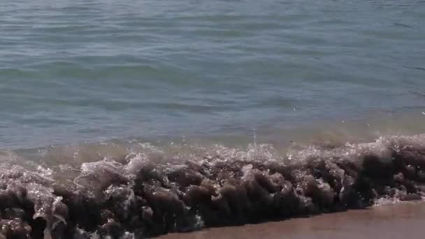Pousse Ralenti Des Vagues Mer Déplaçant Sur Plage Sable Doré — Video