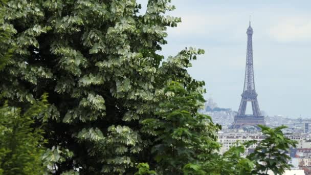Vue Loin Depuis Une Banlieue Tour Eiffel Avec Arbre Amorce — Video