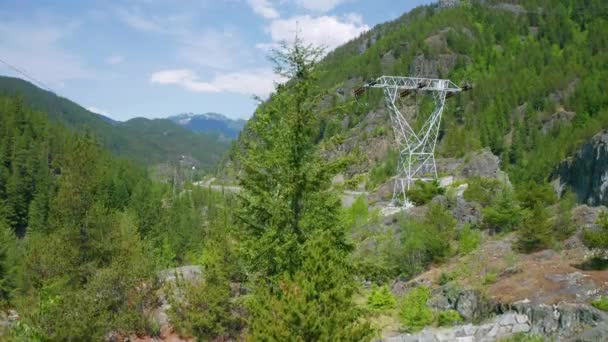 Veduta Aerea Drone Che Sale Sopra Gli Alberi Rivelare Autostrada — Video Stock