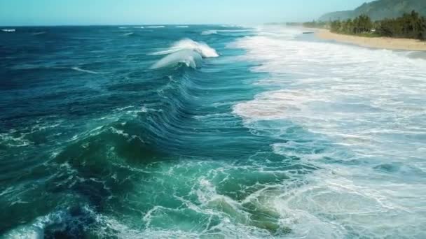 巨大な波が海岸に衝突し オアフ島の美しい北海岸も背景に表示されます — ストック動画