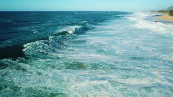 オアフ島の北海岸のドローンショットは巨大な波がクラッシュしている — ストック動画