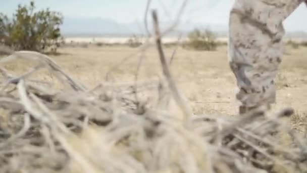 Slow Motion Close Marine Boots Run Brush Sand Desert — Stock Video