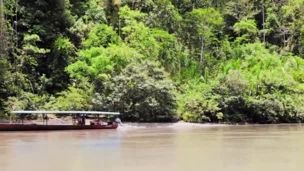 Panoramafahrt Auf Dem Amazonas Peru Südamerika — Stockvideo