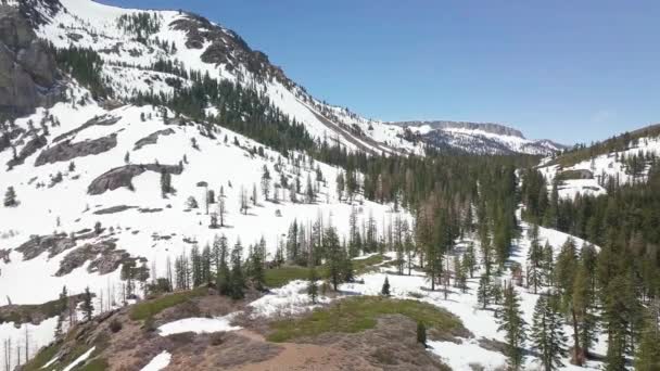 Vuelo Bajo Rozando Las Copas Los Árboles Las Montañas Nevadas — Vídeo de stock