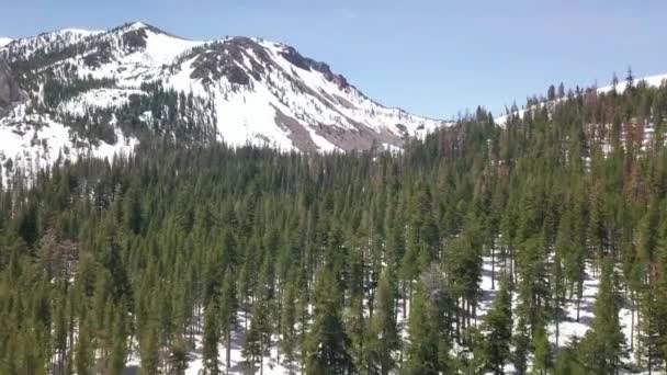 Disparo Aéreo Sobre Bosque Siempreverde Hacia Montañas Nevadas — Vídeos de Stock