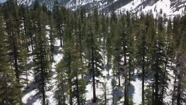 Sobrevuele Bosque Invernal Inclínese Hacia Arriba Para Revelar Montañas Cubiertas — Vídeos de Stock