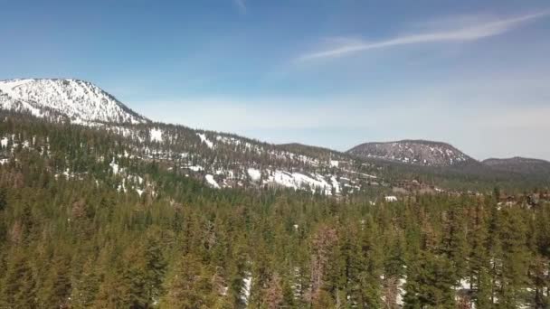 Zbor Scăzut Skimming Peste Vârfurile Copacilor Într Pădure Munte — Videoclip de stoc