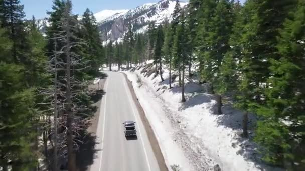 Tracking Shot Truck Drives Mountain Road Forest — Stock Video