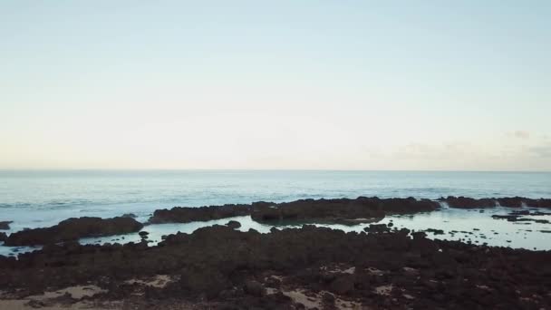 Drone Shot Lecący Tyłu Bardzo Blisko Palmy Shark Cove Oahu — Wideo stockowe