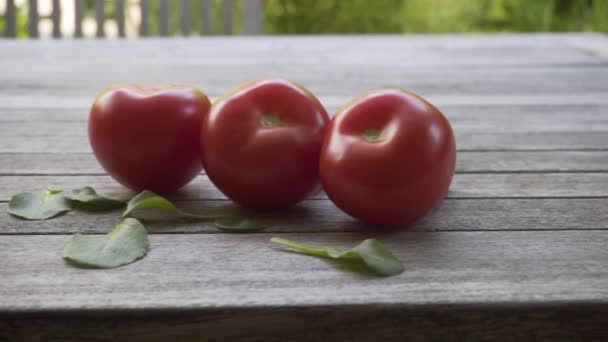 Red Fresh Organic Tomato 2160P 25Fps Uhd Video Slowly Panning — Stock Video