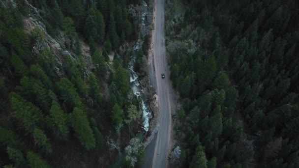 道路の両側に松の木に囲まれたロッキー山脈の峡谷を通って車を運転し 撮影された映画的で美しいドローン — ストック動画