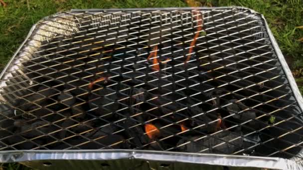 Fire Small One Time Grill Evening Park Lerum Sweden First — Stock video