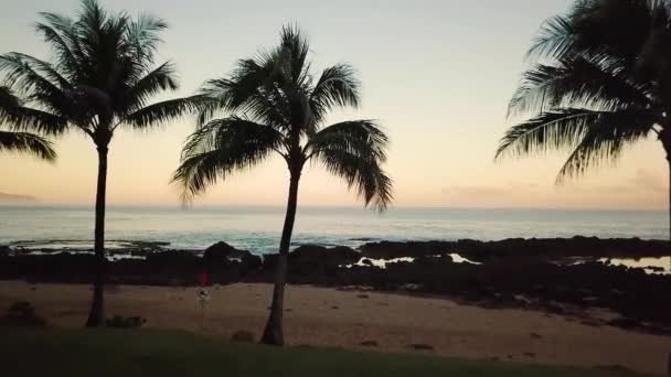 夏威夷瓦胡岛鲨鱼湾的一个五彩缤纷的日出中 美丽的无人机在棕榈树下飞舞 — 图库视频影像