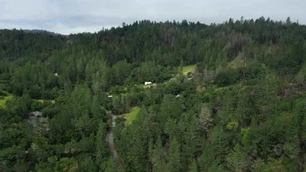 Letecký Dron Přeletěl Malou Vesničku Domky Chalupami Uhnízděnými Sekvojových Lesích — Stock video
