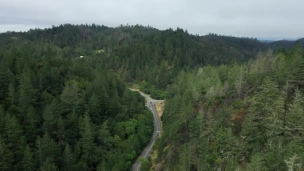 Aerial Drone Flyover Intersection Two Country Highways Surrounded Dense Forests — Stock Video