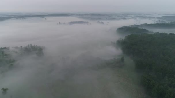 Затьмарений Краєвид Через Туман Дим Сільській Фермі Альберти — стокове відео