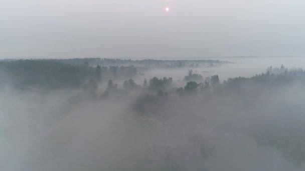 Flygfoto Flyger Genom Dimma Rök Och Moln Lantlig Alberta Med — Stockvideo