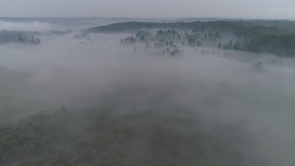 Vue Aérienne Par Faible Visibilité Qui Vole Dans Brouillard Fumée — Video