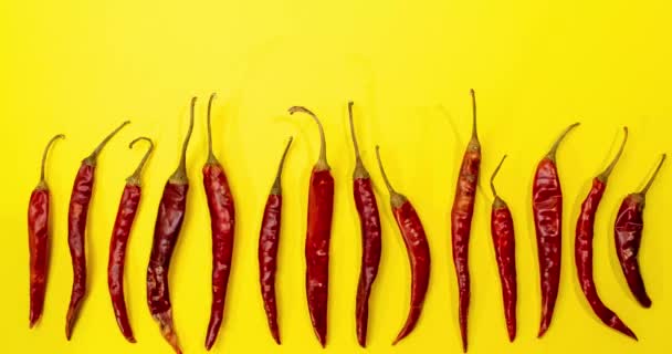 Red Chile Rbol Chilies Stop Motion Movement Row Fun Vibrant — Stock Video