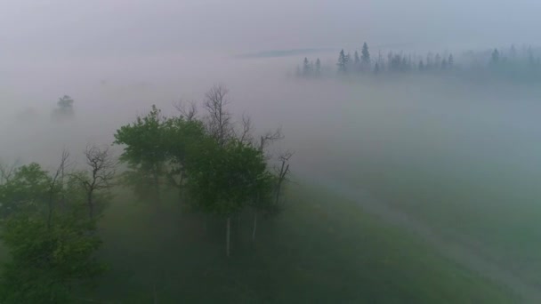 艾伯塔省农村农田上空的雾和烟雾中的低能见度空中景观 — 图库视频影像