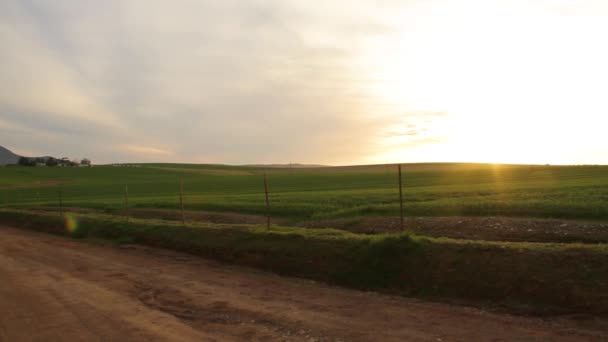 Terreni Agricoli Nel Tardo Pomeriggio Capo — Video Stock