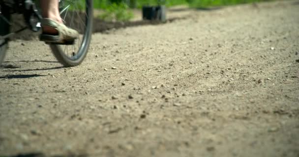 Movimiento Lento Bicicletas Bosque — Vídeos de Stock