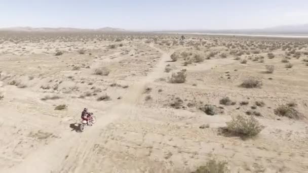 Aerial Motociclista Tierra Corre Moto Honda Crf Desierto Seguir Seguimiento — Vídeos de Stock