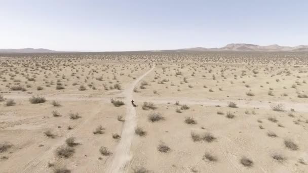 Aerial Motociclista Terra Corre Sua Motocicleta Honda Crf Deserto — Vídeo de Stock