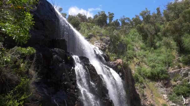 Acqua Cascata Giù Cascata Nella Bellissima Natura Selvaggia Australiana Slow — Video Stock