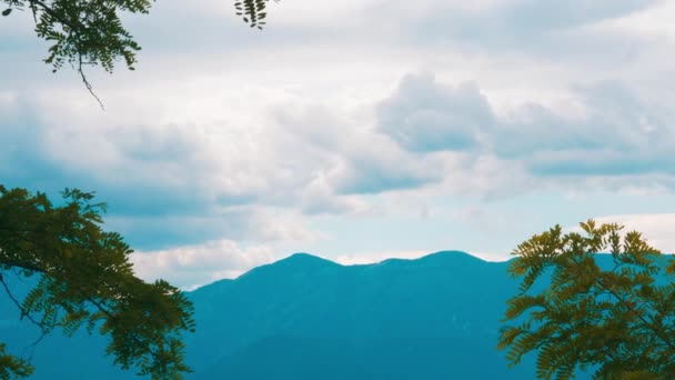 Montanha Com Vista Para Céu Árvores — Vídeo de Stock