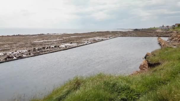 Piscina Cheia Mar Velho Maré Baixa Monans Fife Escócia — Vídeo de Stock