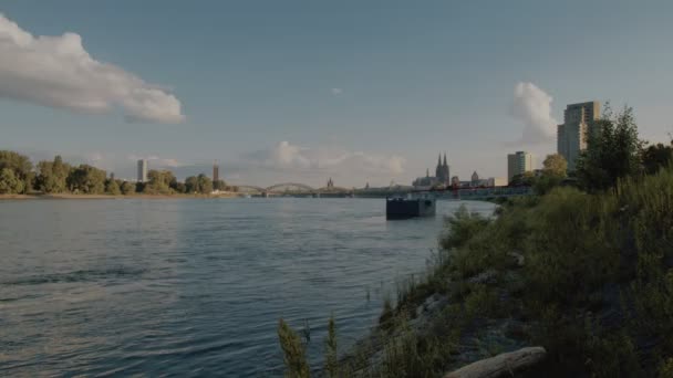 Panorama Del Rin Colonia Alemania Verano — Vídeos de Stock