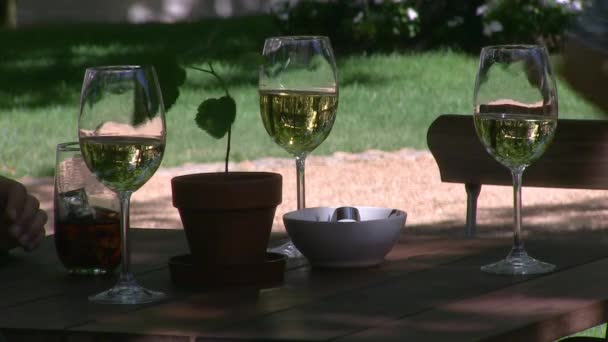 Outdoor Table Wine Restaurant — Stock Video