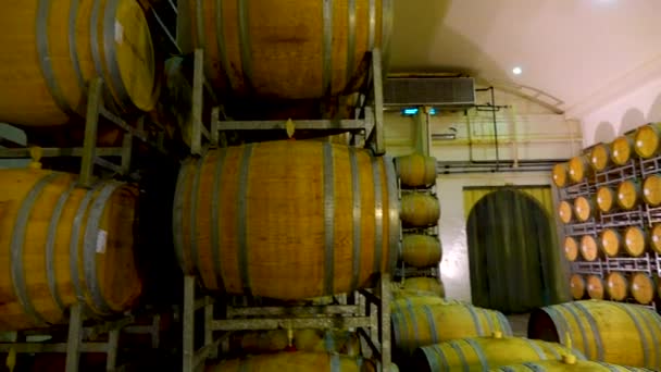 Piwnica Win Beczkowych Boschendal Wine Farm — Wideo stockowe
