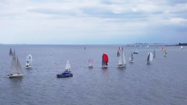 Légi Kilátás Vitorlás Regatta Tenger Alatt Felhős Balti Tengeri Jachtverseny — Stock videók