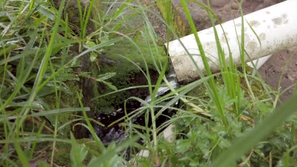 Eau Pluie Coule Bec Descendant Pvc Dans Canal Béton Moussue — Video