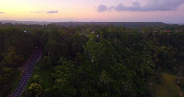 Emelkedő Légi Felvétel Egy Trópusi Erdő Völgyében Naplementekor Kondalilla Ausztrália — Stock videók