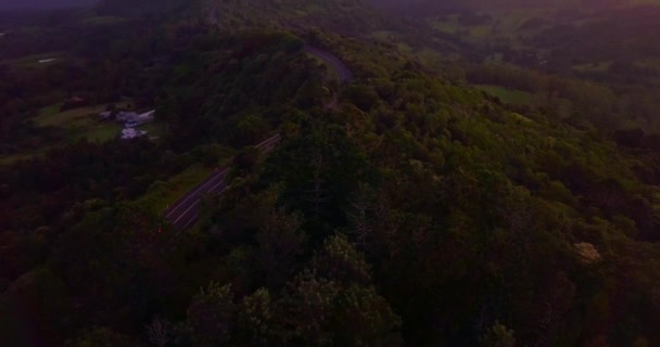 Felfedi Sima Légi Felvétel Egy Úton Keresztül Trópusi Erdő Völgyében — Stock videók