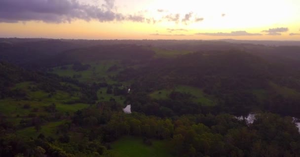Letecký Pohled Kopce Údolí Tropického Lesa Při Západu Slunce Kondalilla — Stock video