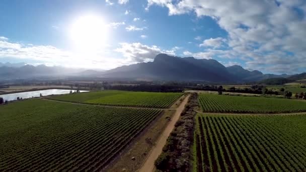 Drone Beelden Van Wijngaarden Wijnboerderij — Stockvideo