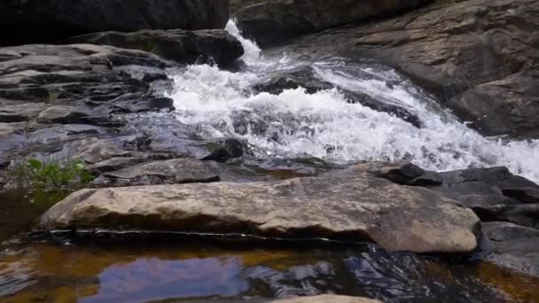 Agua Dulce Clara Del Río Que Fluye Sobre Las Rocas — Vídeo de stock