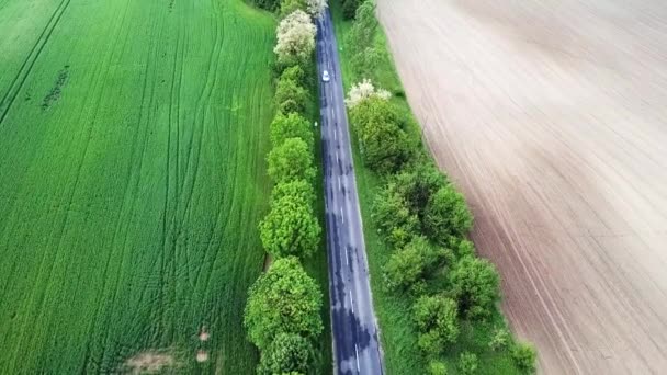 Luftaufnahme Einer Straße Mit Bäumen Grüne Und Gelbe Felder Auf — Stockvideo