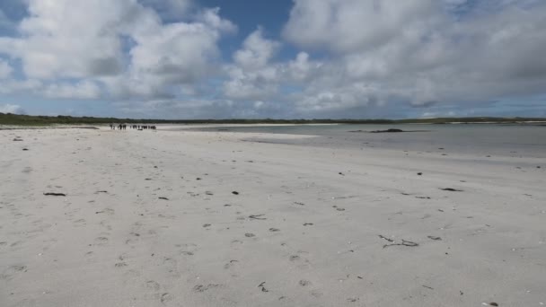 Grote Groep Wandelaars Balranald Beach North Uist Een Zonnige Dag — Stockvideo